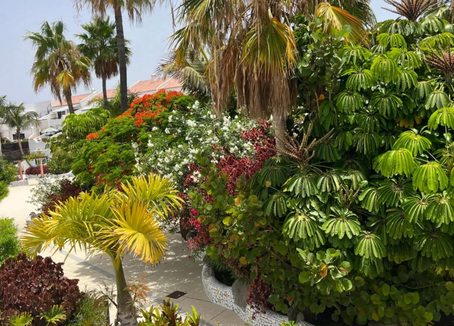 Casa Parque Don Jose 2 Apartment Costa Del Silencio Spain